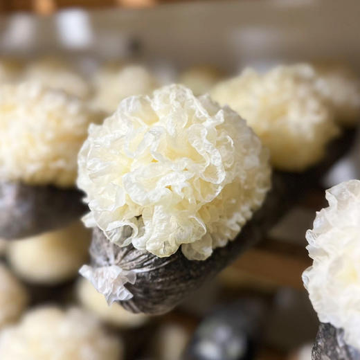 不熏硫就是不熏硫！ 高山小花银耳，出胶比一般银耳羹更糯！自然的小花，会有大有小，也不算缺点。 商品图5