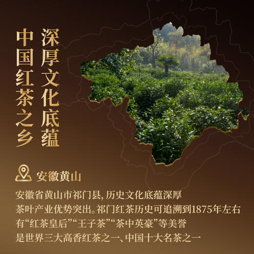 正山堂骏眉中国 祁红金针 特级红茶正宗安徽祁门高香茶叶罐装送礼 商品图4