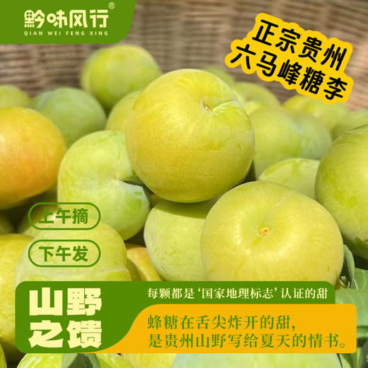 正宗六马蜂糖李蜜甜脱骨李顺丰包邮（市直机关） 商品图0