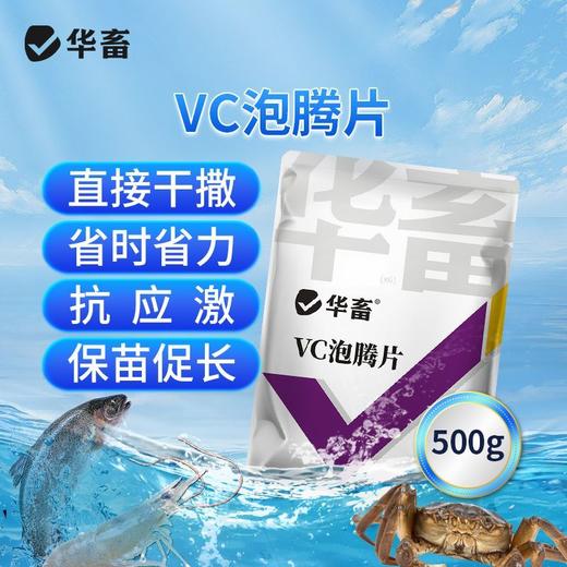 华畜VC泡腾片应激宝小龙虾蟹鱼用电解多维生素C应激灵水产养殖 商品图0