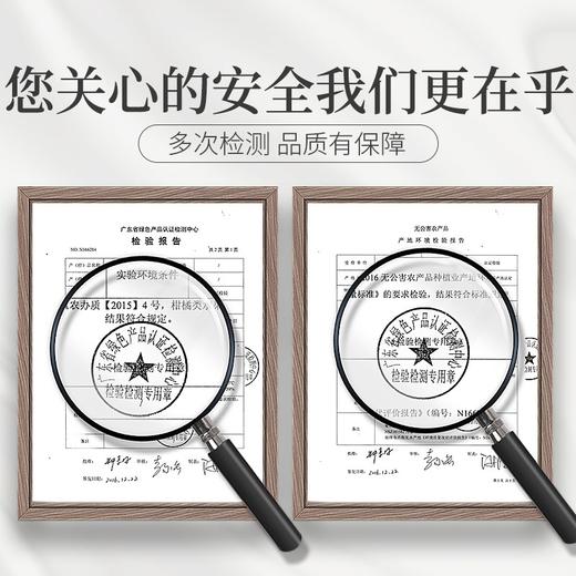 灵均【中国农科院】正宗十五年 15年新会老陈皮干 大红皮 茶叶花草茶泡水40g/罐 商品图7