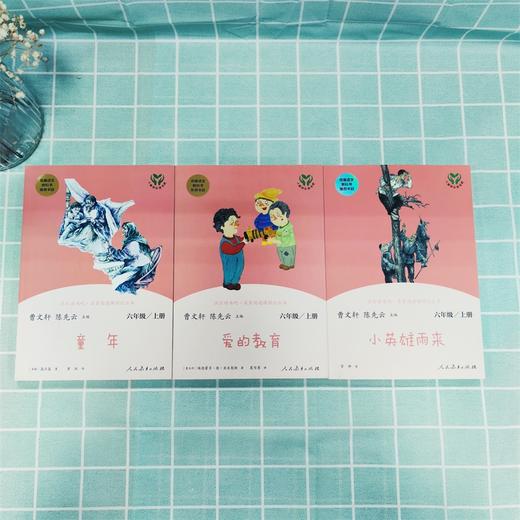 【人教版快乐读书吧】6年级上册（全3册） 商品图3