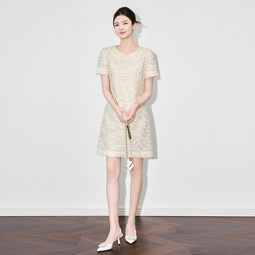 夏款高品质重工雀羽欧根纱彩绣显瘦连衣裙WLZD2504601 商品图2