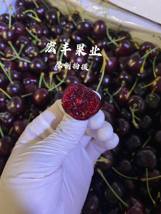 宏丰精选 美国车厘子硬度好 口感甜脆 长腿绿身 活动价138元2斤 商品图3