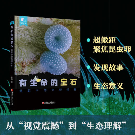 有生命的宝石 微距中的虫卵世界 走进蝴蝶的宝石秘密基地等收录60余种昆虫 发现故事科普自然类图书 商品图0