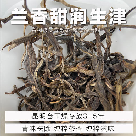 A级 2021年兰香 润感强 生津 古树级普洱茶生茶散茶 商品图0
