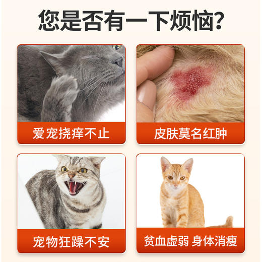 【美团爆款】德赛宝灭虫宁灵A型滴剂体外驱虫单支装 狗狗除蜱虫跳蚤虱子 见效快不伤宠 1盒=100支【混拼请备注】 商品图2