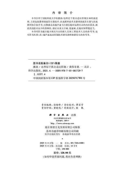 激波/边界层干扰自适应控制 商品图2