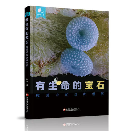 有生命的宝石 微距中的虫卵世界 走进蝴蝶的宝石秘密基地等收录60余种昆虫 发现故事科普自然类图书 商品图1