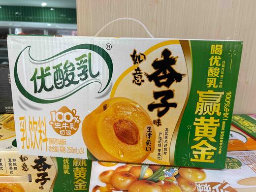 2025伊利优酸乳～如意杏子味250ml*24 商品图0