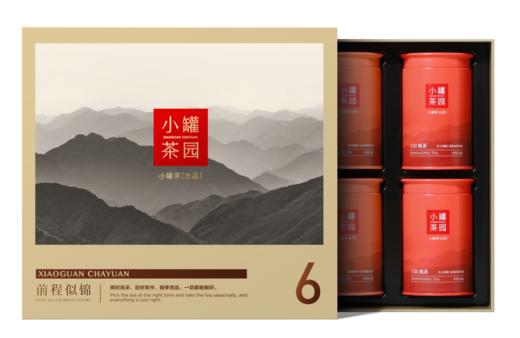 小罐茶园溢彩系列普洱熟茶60g2罐+大红袍茶40g2罐+滇红茶55g2罐【发中通物流】搭配咖色礼盒和手提袋哦适合自饮和送人 商品图1