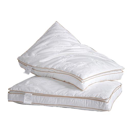 贡缎蚕丝双层枕芯一对装  A-4797 商品图7