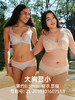 HSIA遐薄款内衣裤套装女倾城之恋夏季蕾丝全罩杯大胸显小文胸套装 商品缩略图1