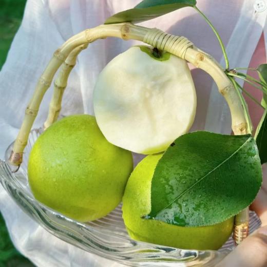 【青皮梨】清甜多汁 肉嫩无渣 青皮酥梨 4.5斤装 商品图2