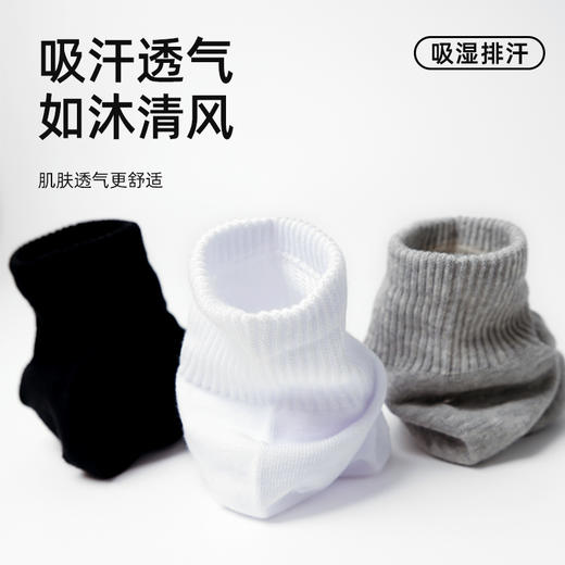 【分销】【夏日福利】棉布季-四季棉棉袜   吸湿排汗，高弹不勒，耐磨耐穿，舒适自在 商品图1