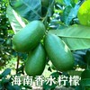 海南无籽香水柠檬子弹头 商品缩略图0