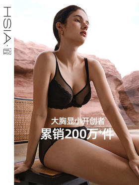 HSIA遐大胸显小全罩杯文胸倾城之恋蕾丝胸罩大码夏季薄款内衣plus&pro