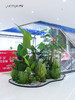 高仿真植物造景定制设计/商场家居多场景生态景观搭建+一站式安装（具体价格可咨询商家） 商品缩略图1