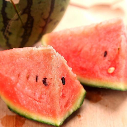 南汇8424西瓜1个礼盒装 单果3kg以上 商品图5