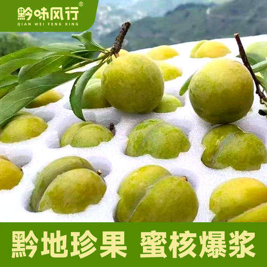 正宗六马蜂糖李蜜甜脱骨李顺丰包邮（市直机关） 商品图2