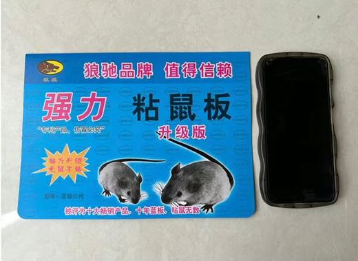 【JL】粘鼠板 商品图1