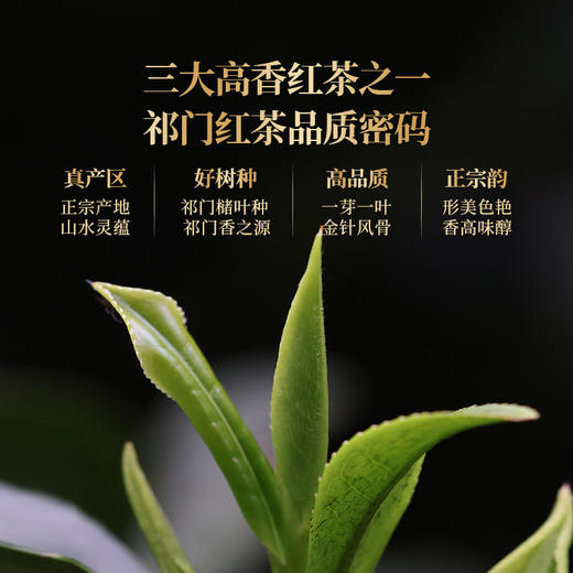 正山堂骏眉中国 祁红金针 特级红茶正宗安徽祁门高香茶叶罐装送礼 商品图2