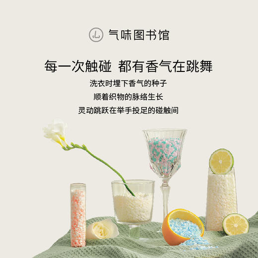 【容量升级】气味图书馆织物留香珠1000g（初熟茉莉/凉白开/大西洋/白玫瑰与木兰香型） 商品图2