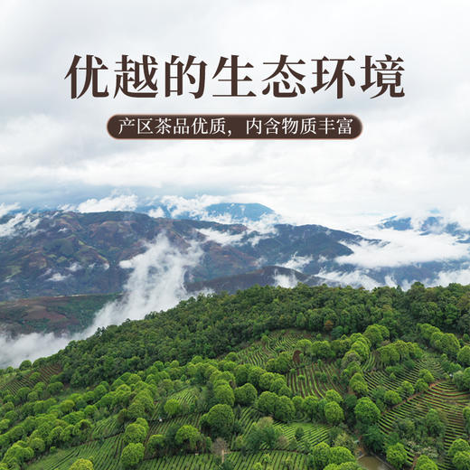 澜沧古茶2025年高山白茶云南云南贡眉白茶散茶100g*2罐 商品图1