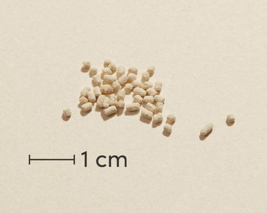 [保税区-FX]Biosym卵磷脂300克. Biosym OmniOmega Lecithin300g 商品图2