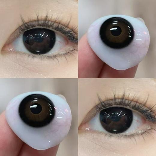 『大直径日抛』PAPADOX-限定黑松露-14.5mm【日抛 0-800度 无525/575 】 商品图8