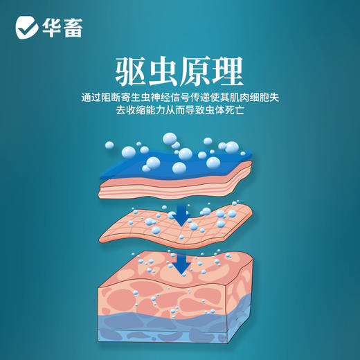 阿苯达唑伊维菌素片 0.36g*100/瓶 抗寄生虫 商品图3