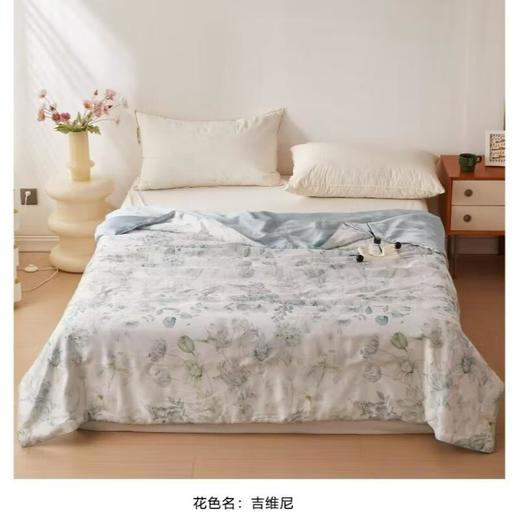玖加壹６０天丝大豆夏被200*230cm（花色可备注选择） 商品图1