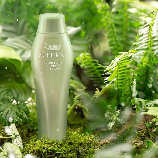 直降100元⭐【控油去屑】少量现货❗资生堂芬芳头皮洗发水💥控油丰盈蓬松保湿清爽 商品图5