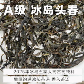 A级 单采 2025年 冰岛N 大树古树级普洱茶生茶散茶