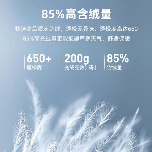 OZARK奥索卡羽绒服官方正品新款加厚连帽LASA羽绒登山服户外套1512230 商品图3