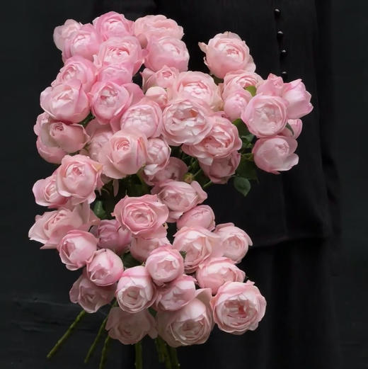 多头玫瑰-草莓杏仁-10支/扎 商品图0