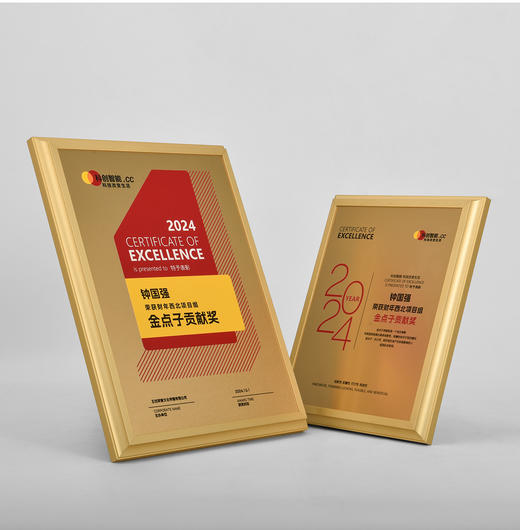 高档金属奖牌创意授权牌定制牌匾定做荣誉纪念铜牌证书奖杯订制 商品图4