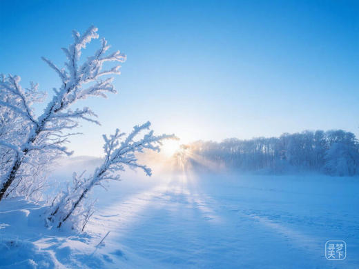 1月20日出发，冬韵小兴安岭摄影6天：伊春·库尔滨雾凇、大平台、高山村、大箐山冬景 商品图4