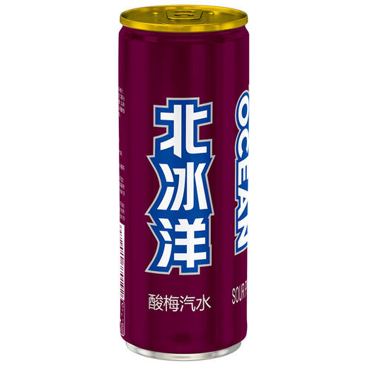 北冰洋 酸梅汽水330ml*24罐 果汁碳酸饮料整箱 商品图6