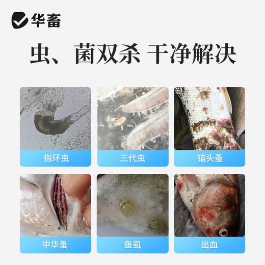【积分兑换】华畜 水产养殖辛硫磷溶液国标兽药鱼虾蟹有机磷杀虫药 商品图1