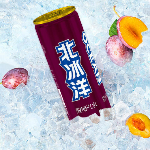 北冰洋 酸梅汽水330ml*24罐 果汁碳酸饮料整箱 商品图3