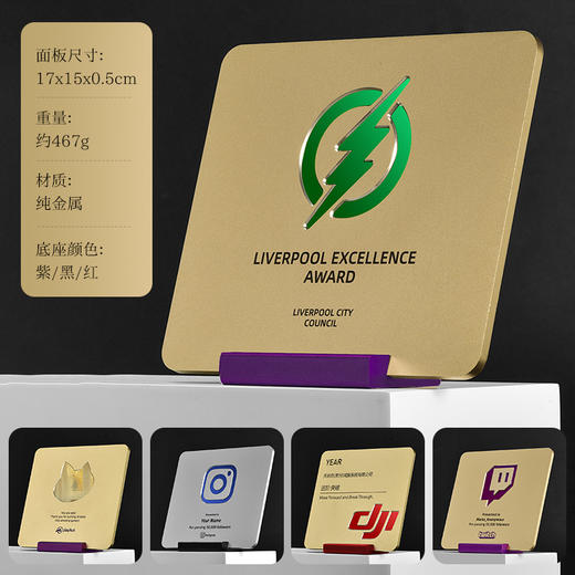 创意金属奖牌定制迷你桌面小奖牌年会活动颁奖科技设计感奖牌定制 商品图6