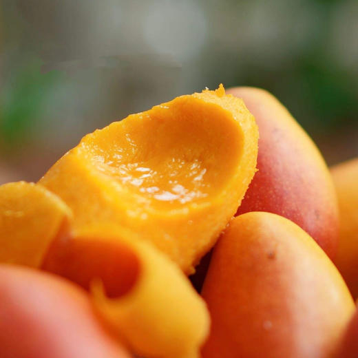 🥭三亚树上熟 · 贵妃芒 · 甘甜多汁 · 细腻无渣 · 香味浓郁 商品图2
