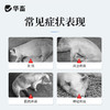 华畜兽药 复方氨基比林注射液 抗风湿解热镇痛 猪牛羊马用 商品缩略图1
