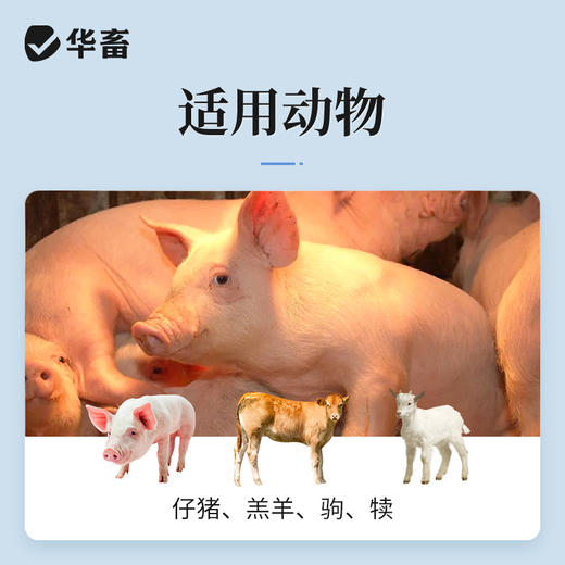 华畜亚硒酸钠维生素E注射液10ml*10支 幼畜白肌病 肌肉萎缩 补充维生素及硒 商品图2