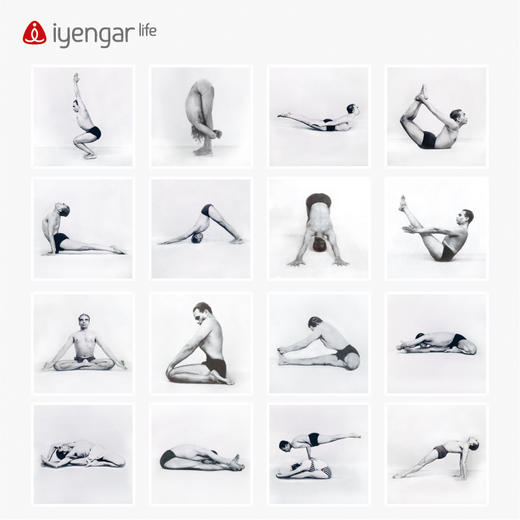 艾扬格 Life 艾扬格大师体式照片挂画  瑜伽场馆气氛装修 8张起售（挂画大小：50CM*50CM） 商品图3