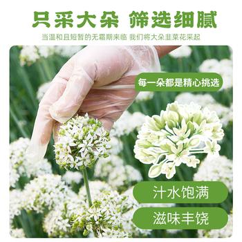 氧鹿韭菜花酱500g0添加剂内蒙古野生风味烤肉蘸料涮羊肉火锅调料 /粮油调味 /调味品 /其他调味料 商品图4