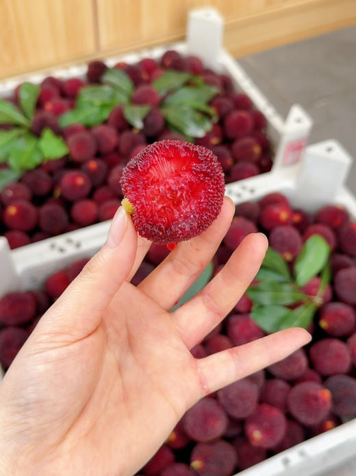 巨无霸仙居东魁杨梅 贡梅级别（78一斤）（买两斤送一斤） 商品图1