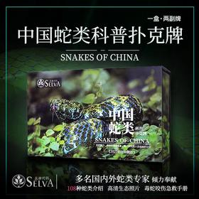 2025新版 中国蛇类主题 扑克牌 爬宠周边 科普展示 物种介绍 礼盒包装【48小时发货】