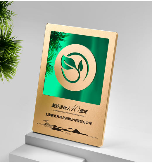 高档金属奖牌定制简约现代科技感商务风授权牌年会活动颁奖纪念品 商品图3